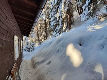 Hütte Lieblingsplatz - Vorarlberg - Austria