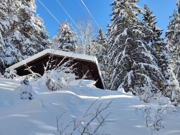 Hütte Lieblingsplatz - Vorarlberg - Austria