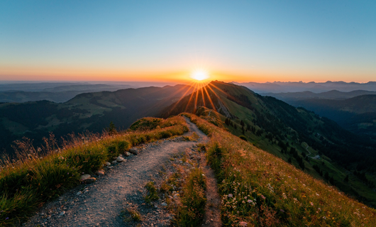 Golden Herbst Glow