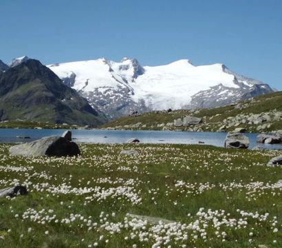 Familien-, Genuss- und Spa-Resort Jesacherhof: Ab in die Berge