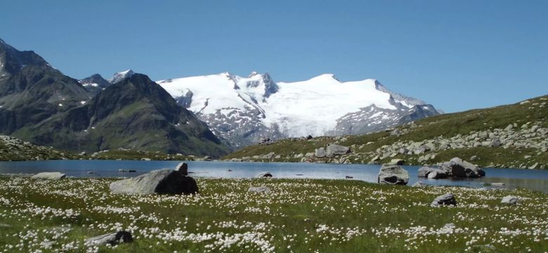 Familien-, Genuss- und Spa-Resort Jesacherhof: Ab in die Berge