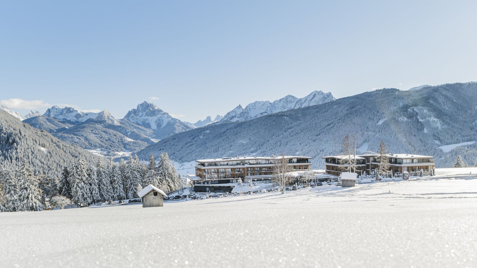 Bild #4 - Alpen Tesitin – Dolomites SPA Resort