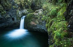 Bio-Hotel Oswalda-Hus: Die Natur entdecken im Kleinwalsertal - Bio-Hotel Oswalda-Hus, Riezlern, Vorarlberg, Österreich