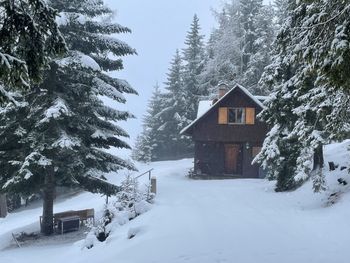 Zirbenlandhütte - Steiermark - Österreich