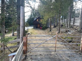 Zirbenlandhütte - Steiermark - Österreich