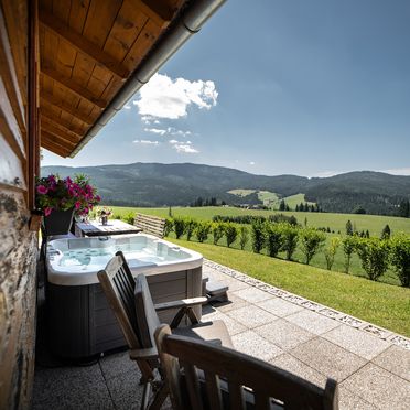 View, Kleine Almliebe, Preitenegg, Carinthia , Austria
