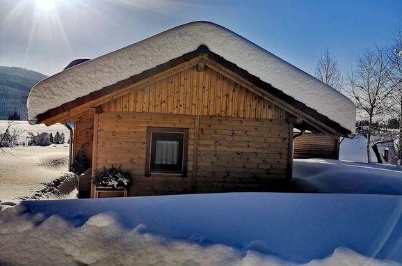 Winter, Kleine Almliebe, Preitenegg, Carinthia , Austria