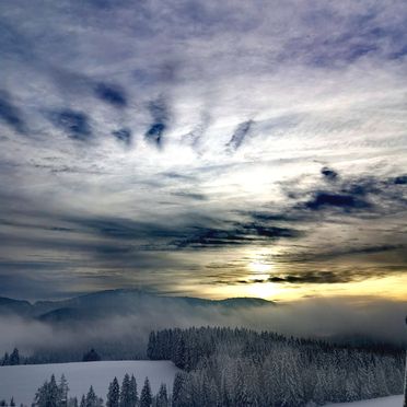 Winter, Kleine Almliebe, Preitenegg, Carinthia , Austria