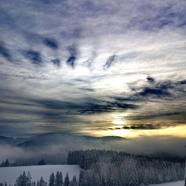 Winter, Kleine Almliebe, Preitenegg, Kärnten, Kärnten, Österreich