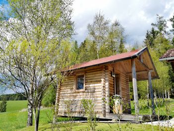 Kleine Almliebe - Kärnten - Österreich