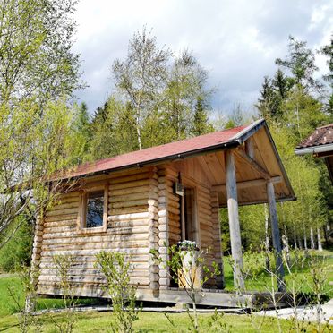 Saunahütte, Kleine Almliebe, Preitenegg, Kärnten, Österreich