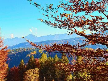 Jagdhütte Josefi - Kärnten - Österreich