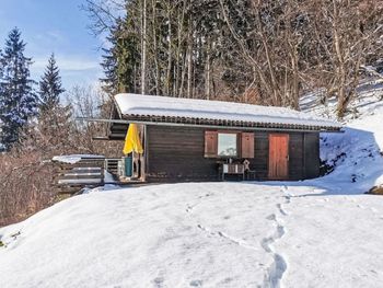 Hütte am Waldrand - Carinthia  - Austria