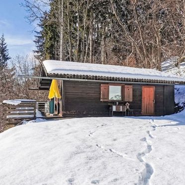 Außen Winter 24, Hütte am Waldrand, Ossiacher See, Kärnten, Kärnten, Österreich