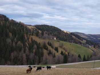 Ferienhaus Mörthandrä - Steiermark - Österreich