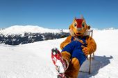 Schneestartwoche - 50% Rabatt auf  den Skipass