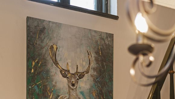 Chalet Villa Ludwig room image #11