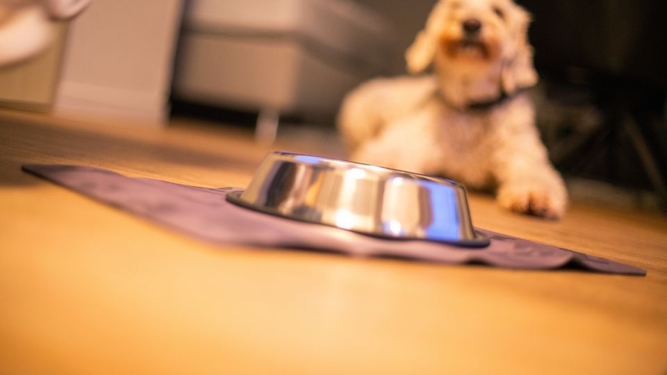 Superior Double Room with Balcony – View 7