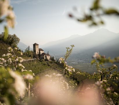 ALPIANA – green luxury: Apple blossom weeks