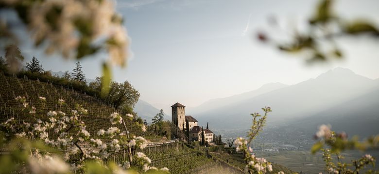 ALPIANA – green luxury: Apple blossom weeks