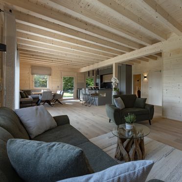 Wohnbereich mit offener Wohnküche, Chalet Kremstalblick, Neuhofen an der Krems, Oberösterreich, Österreich