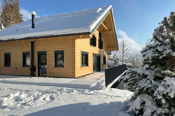Winter, Chalet Kremstalblick, Neuhofen an der Krems, Upper Austria, Austria