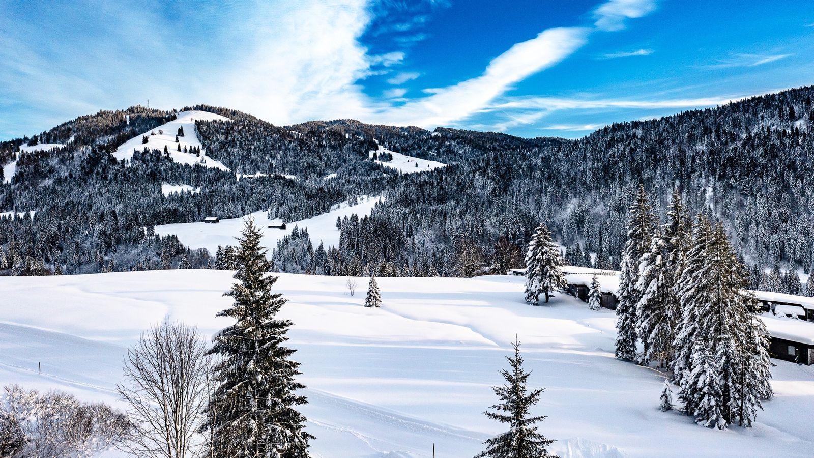 image #12 - Torghele’s Wald und Fluh