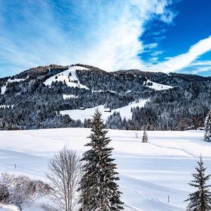 Impressions #9 - Torghele’s Wald und Fluh