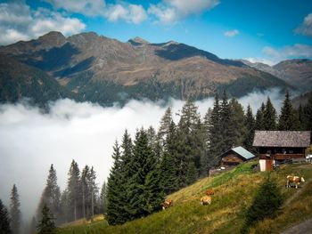 Almhütte Enzian - Kärnten - Österreich