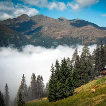 Sommer, Almhütte Enzian, Greifenburg, Kärnten, Österreich