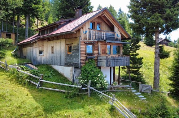 Sommer, Almhütte Enzian, Greifenburg, Kärnten, Österreich