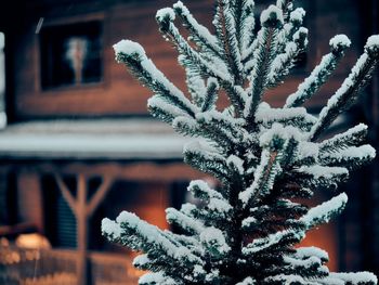 Chalet Elisabeth - Tyrol - Austria