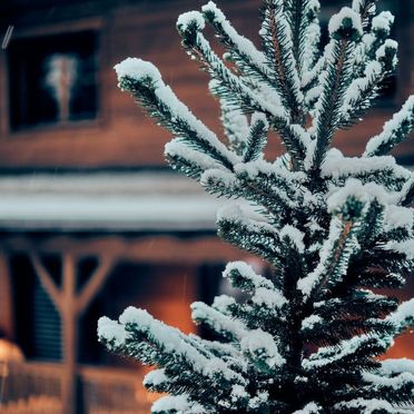 Inside Winter 29, Chalet Elisabeth, Seefeld in Tirol, Tirol, Tyrol, Austria