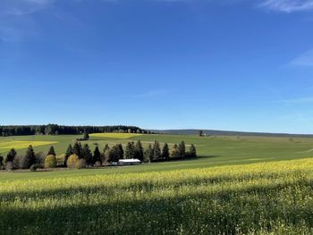 Chalet Melvill - Baden-Württemberg - Deutschland