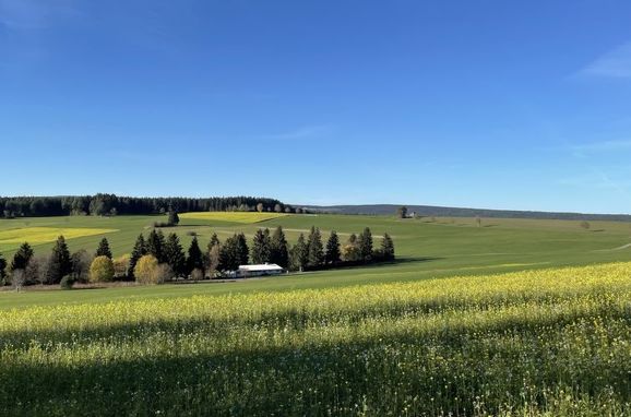 Innen Winter 78, Chalet Melvill, Dittishausen, Schwarzwald, Baden-Württemberg, Deutschland