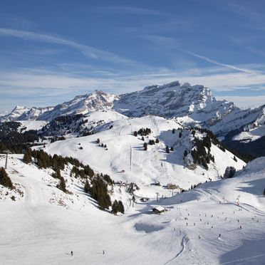 Innen Winter 74, Chalet Tetras, Villars, Waadtländer Alpen, Waadt, Schweiz