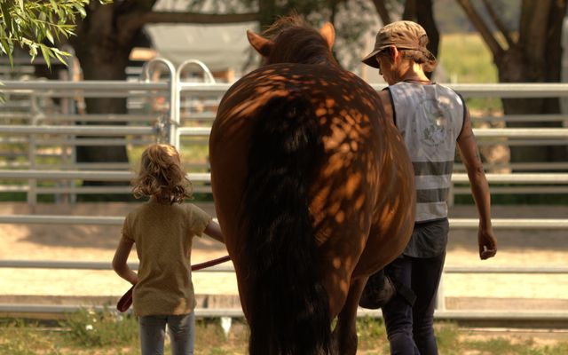 Reiter- und Erlebnisbauernhof Groß Briesen GmbH Bildergalerie
