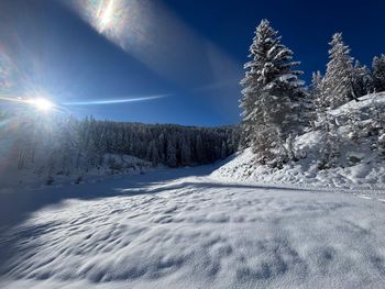Stadlalm - Salzburg - Österreich