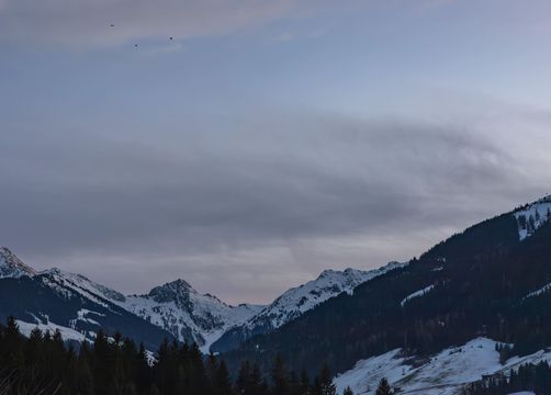 BIO HOTEL Naturapartments Alpbach: Tiroler Berge immer im Blick - Naturapartments Alpbach, Alpbach, Tirol, Österreich