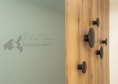 BIO HOTELS Naturapartments Alpbach Altitude 100 (19/27) - Naturapartments Alpbach