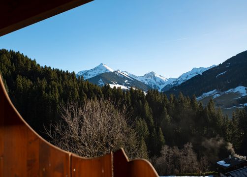 Penthouse (28/29) - Naturapartments Alpbach