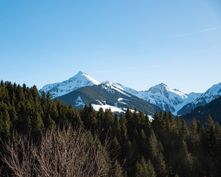 BIO HOTEL Naturapartments Alpbach: Tiroler Berge immer im Blick - Naturapartments Alpbach, Alpbach, Tirol, Österreich