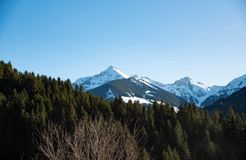 BIO HOTELS Naturapartment Alpbach Penthouse (26/29) - Naturapartments Alpbach