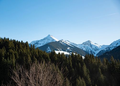 BIO HOTEL Naturapartments Alpbach: Tiroler Berge immer im Blick - Naturapartments Alpbach, Alpbach, Tirol, Österreich