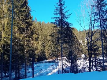 Kleine Auszeit - Steiermark - Österreich