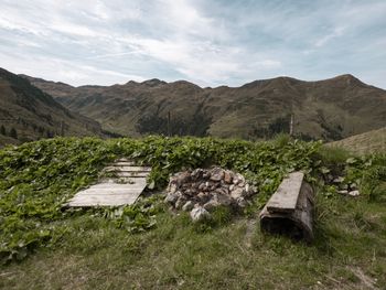 Steinfeldalm - Tirol - Österreich