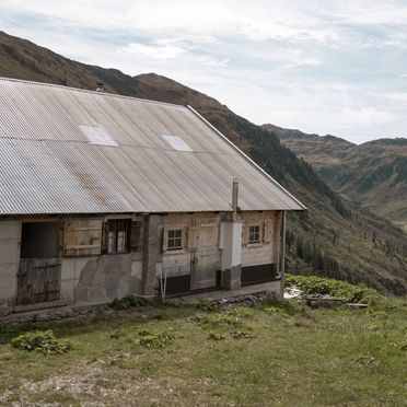 Seitenansicht, Steinfeldalm, Kirchberg, Tirol, Österreich