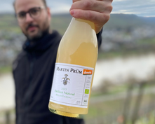 Bio Boutique Hotel Prüm: Bio-Weingut - Bio Boutique Hotel Prüm, Brauneberg, Mosel, Rheinland-Pfalz, Deutschland