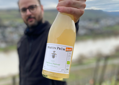 Bio Boutique Hotel Prüm: Bio-Weingut - Bio Boutique Hotel Prüm, Brauneberg, Mosel, Rheinland-Pfalz, Deutschland