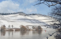 Bio Boutique Hotel Prüm: Auch im Winter eine Reise wert - Bio Boutique Hotel Prüm, Brauneberg, Mosel, Rheinland-Pfalz, Deutschland